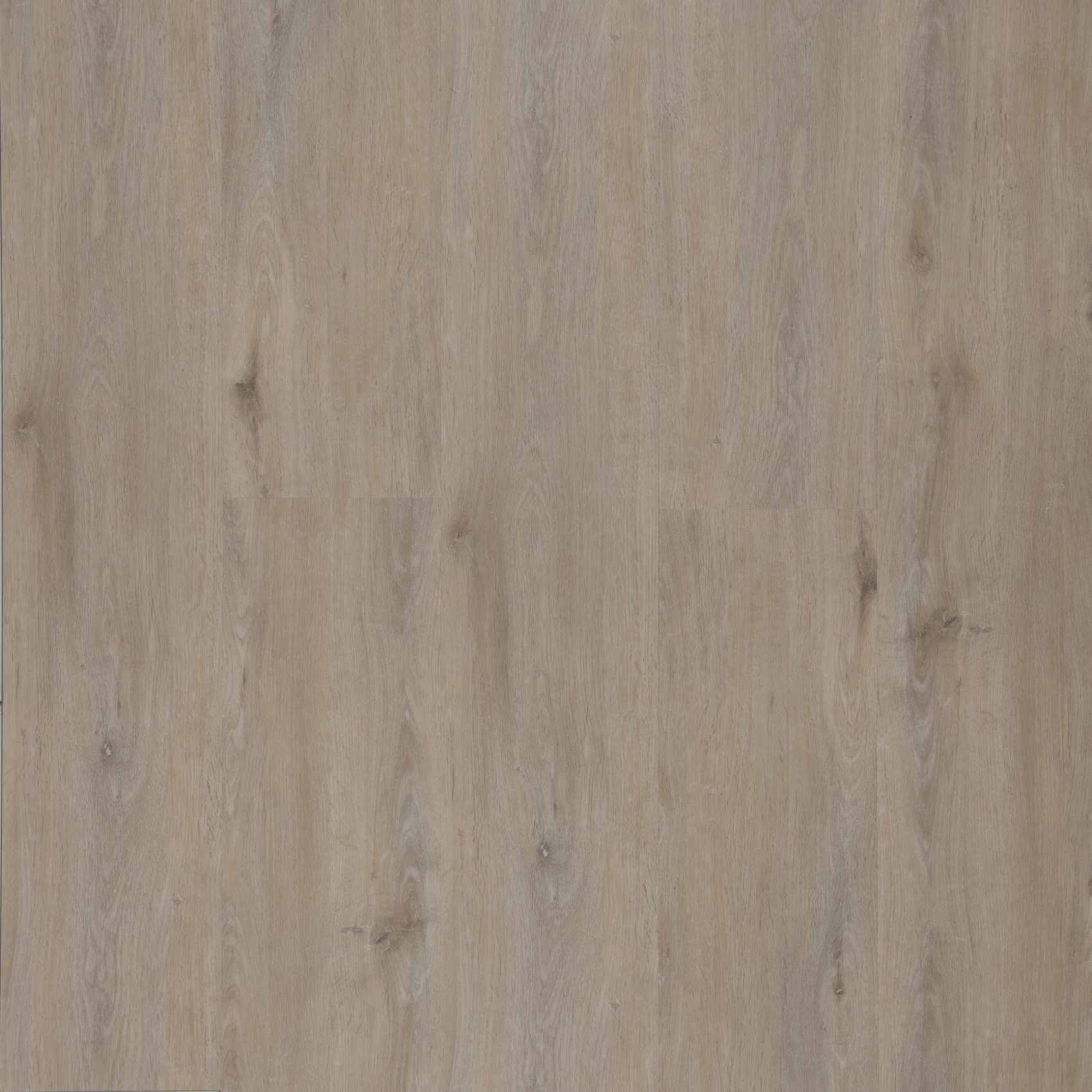 Allure Coastal Limed Oak