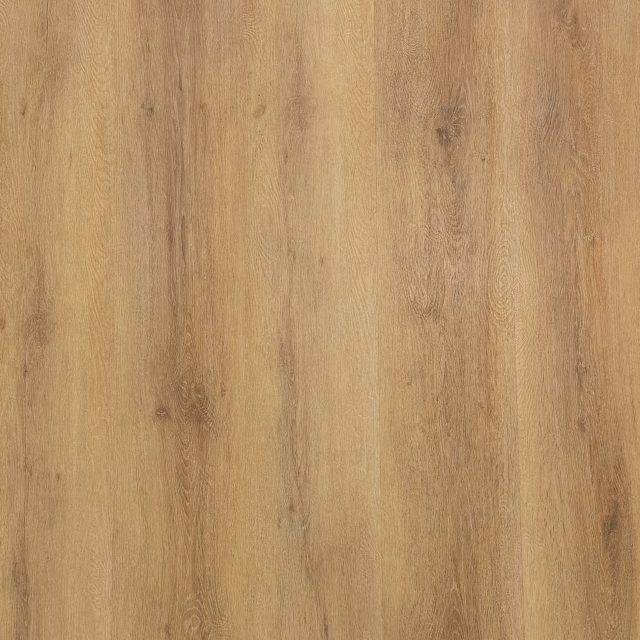 Alpine Chestnut Large