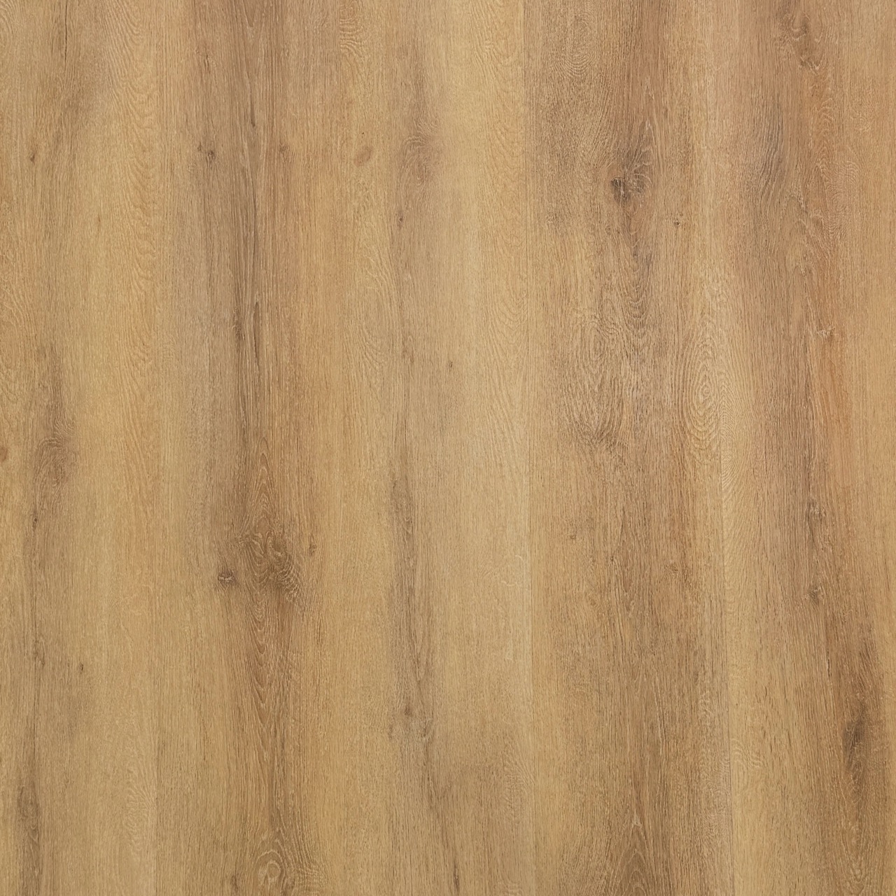 Alpine Chestnut Large