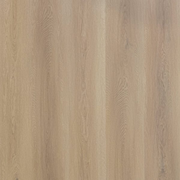 Alpine Hybrid Flooring in Elm with natural timber-look grain detail.