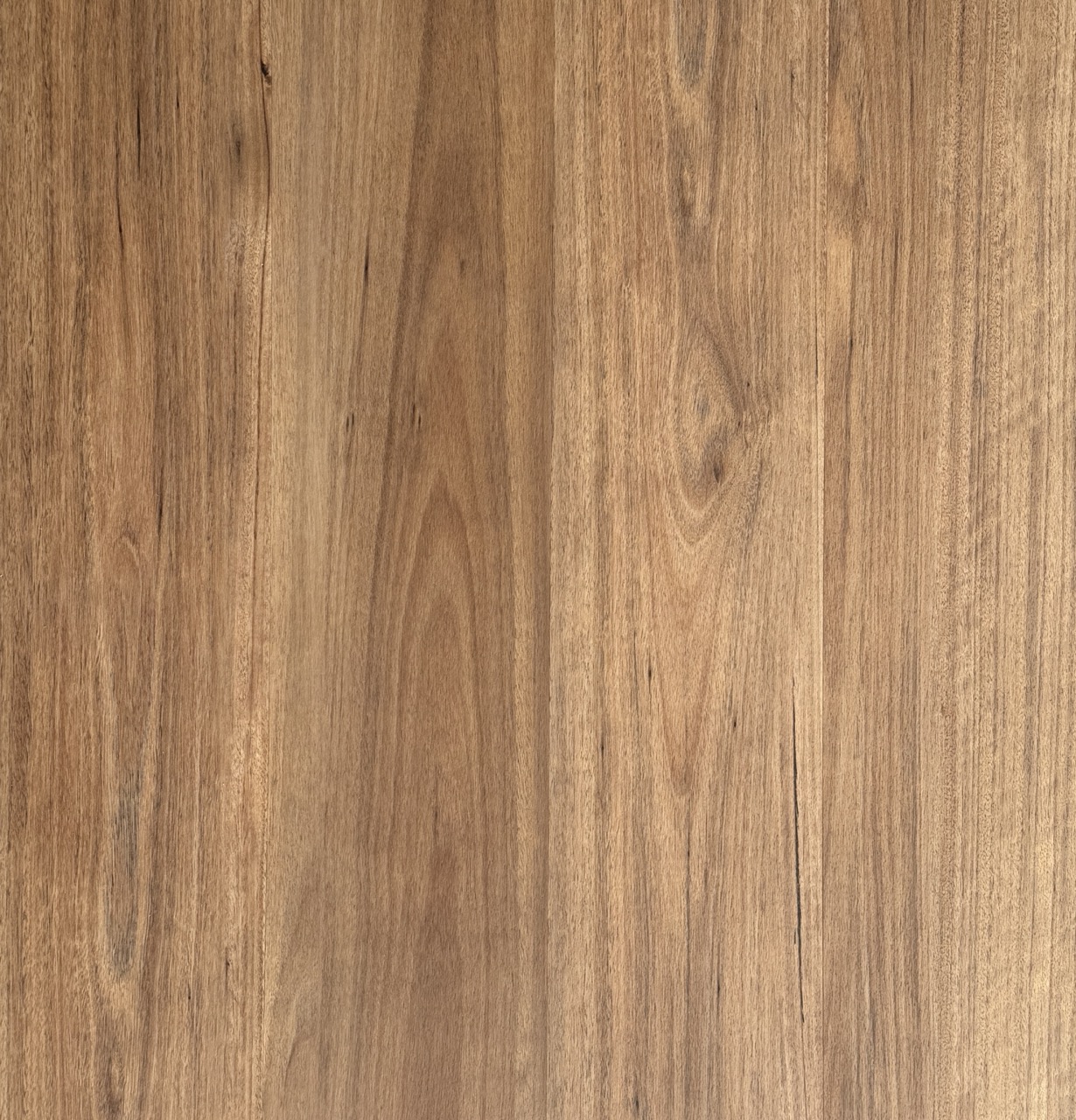 Warm walnut timber flooring available now from Beare Flooring.