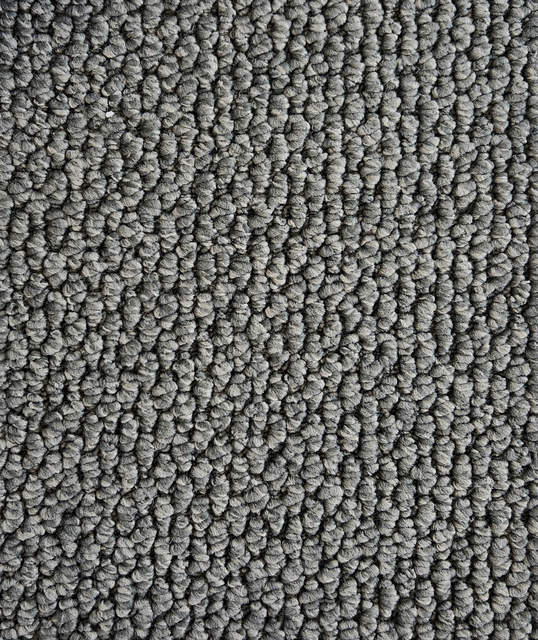 Andes Peak Col.. Toro