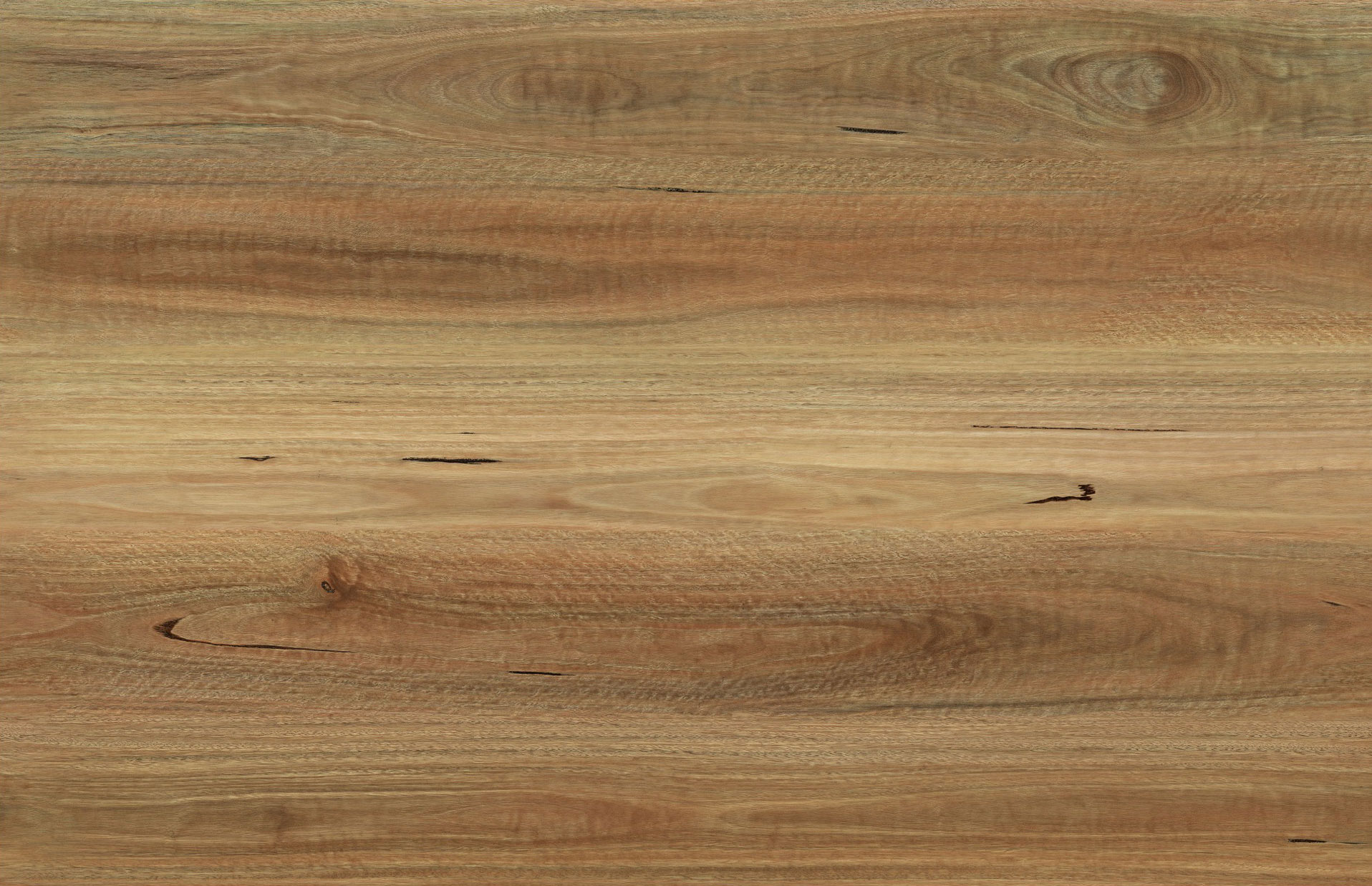Aqua Stone V7 Col. Nsw Spotted Gum
