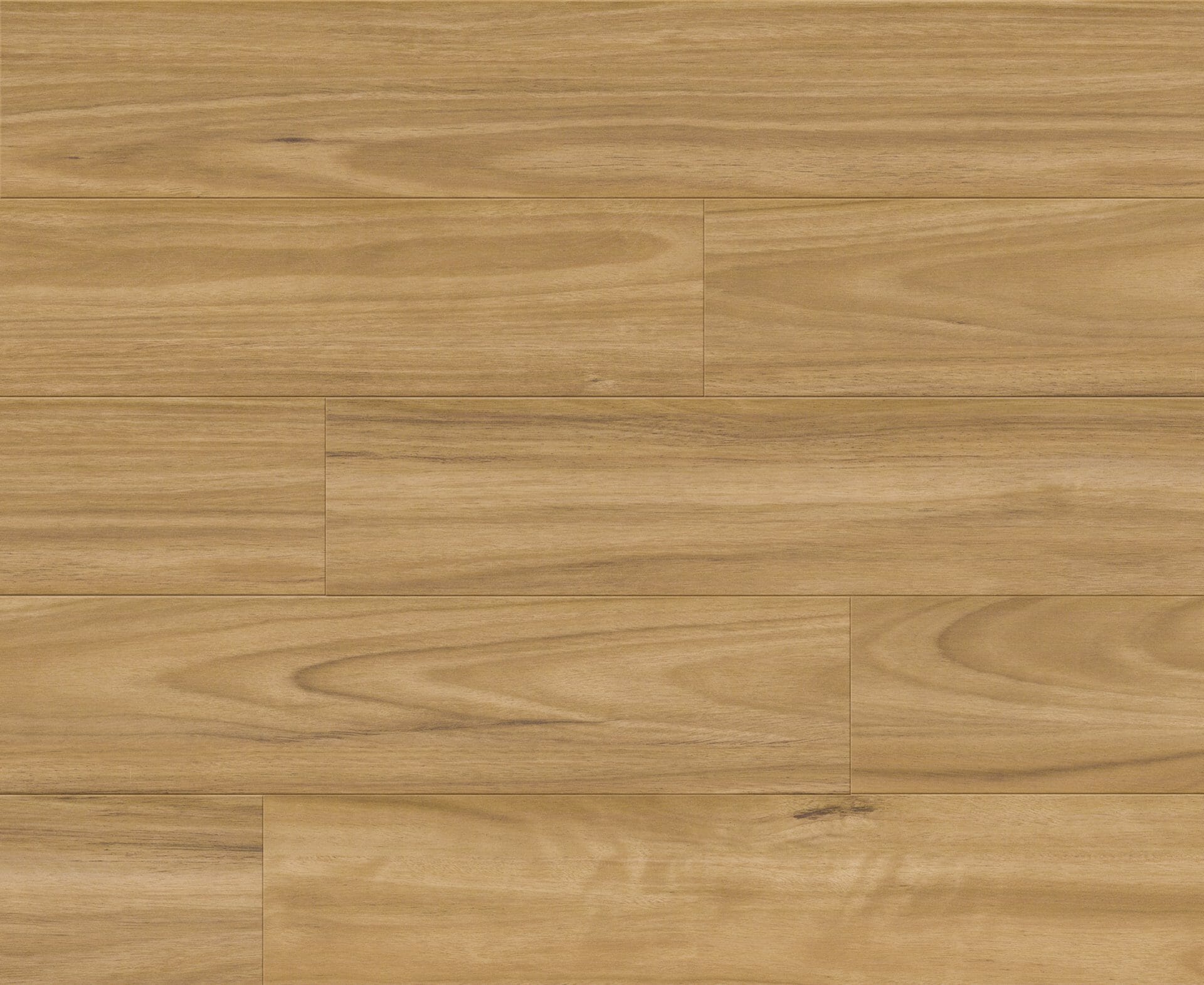 Aquis Forest Brushbox