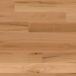 Australian Blackbutt