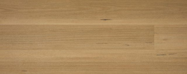 Australian Hybrid Col. Blackbutt