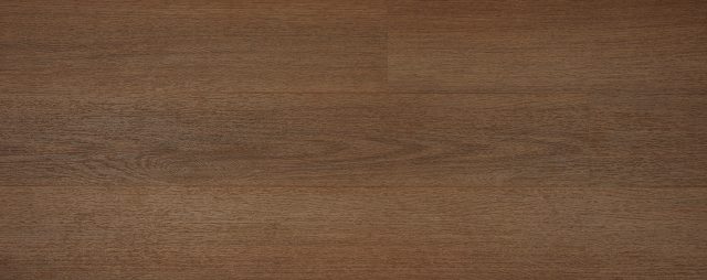 Australian Hybrid Col. Brushbox