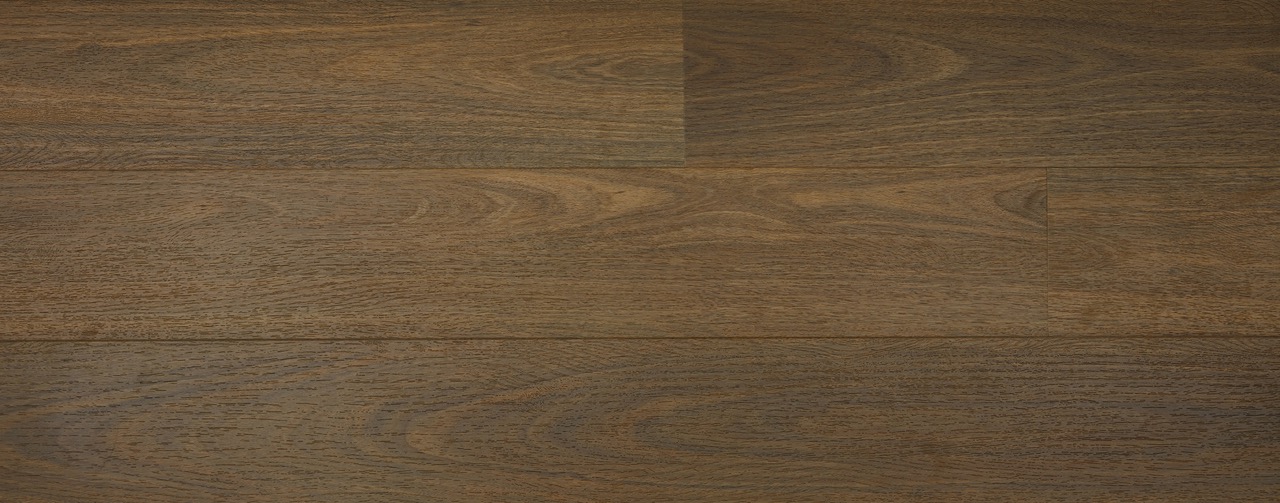 Australian Hybrid Col. Northern Spotted Gum