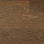 Australian Hybrid Col. Southern Spotted Gum