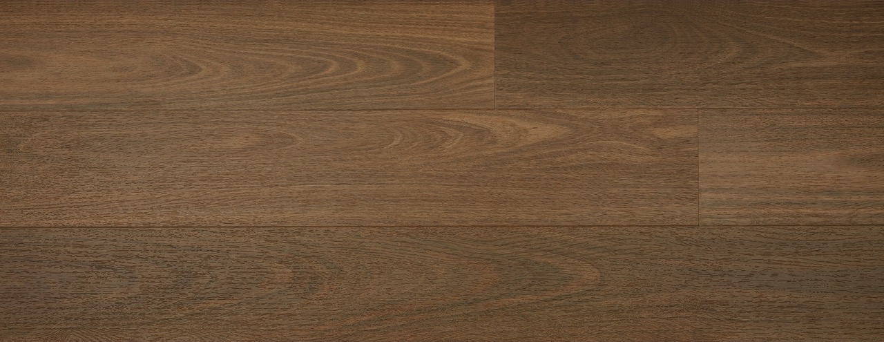 Australian Hybrid Col. Southern Spotted Gum