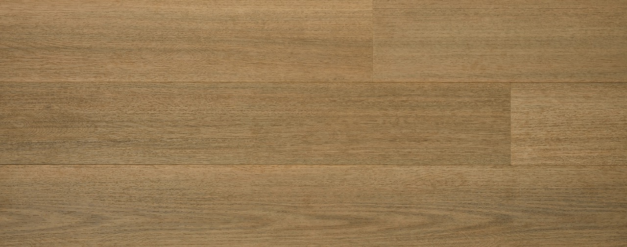 Australian Hybrid Col. Tasmanian Oak