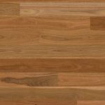 Australian Spotted Gum
