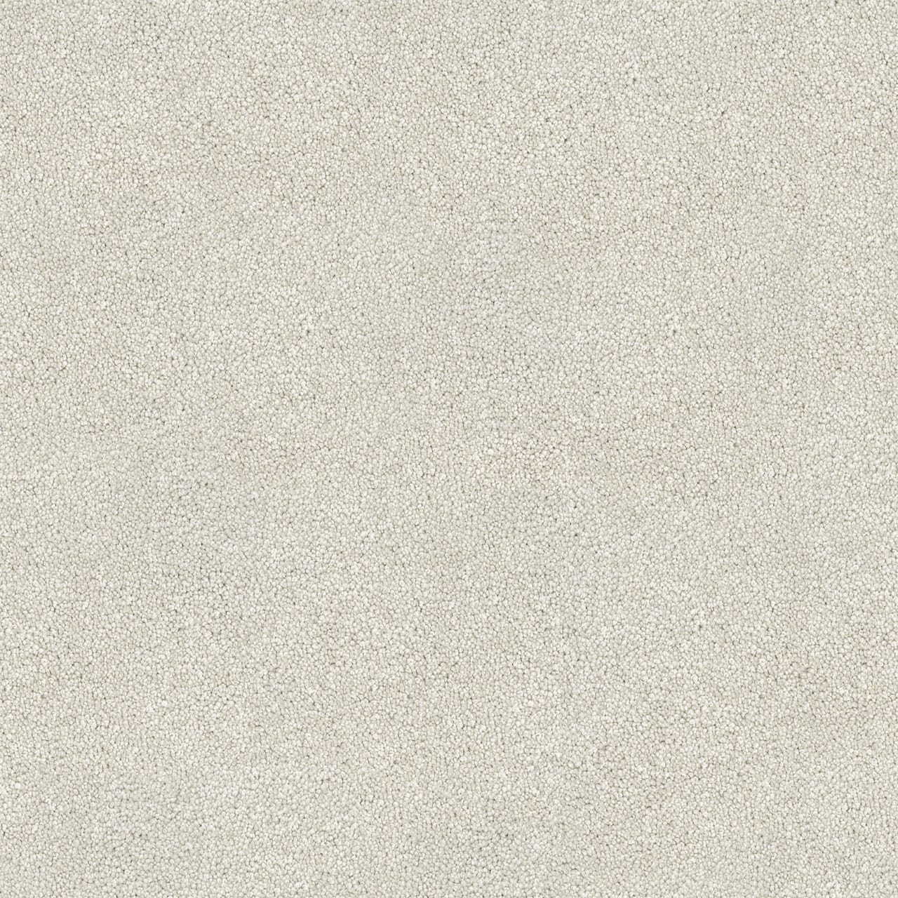 Barossa 1 Ivory Large