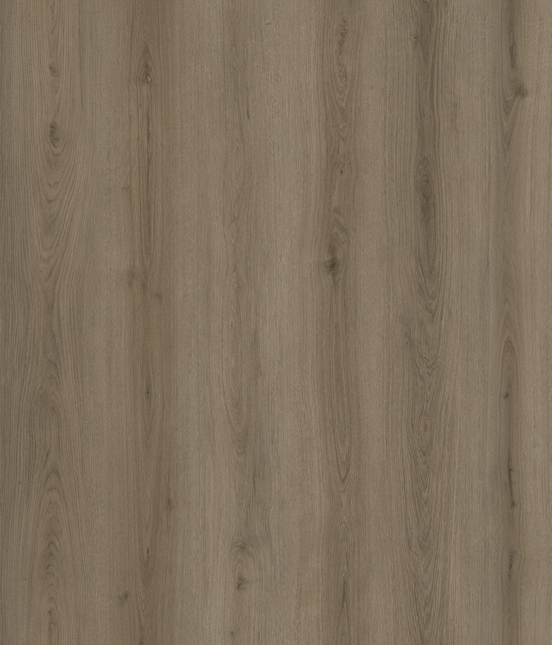 Bellegrande Northern Oak