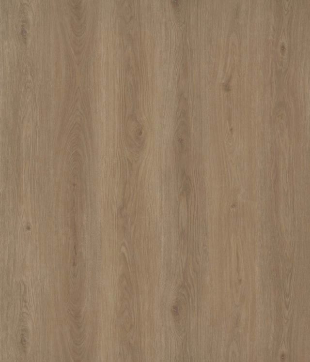 Bellegrande Cosmo Oak