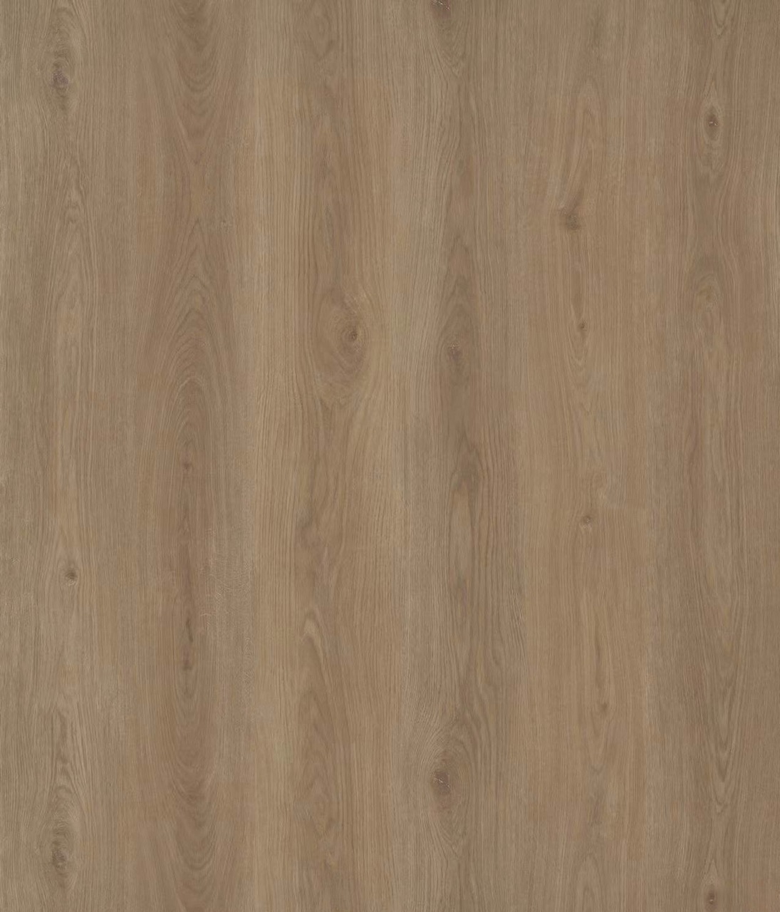 Bellegrande Cosmo Oak