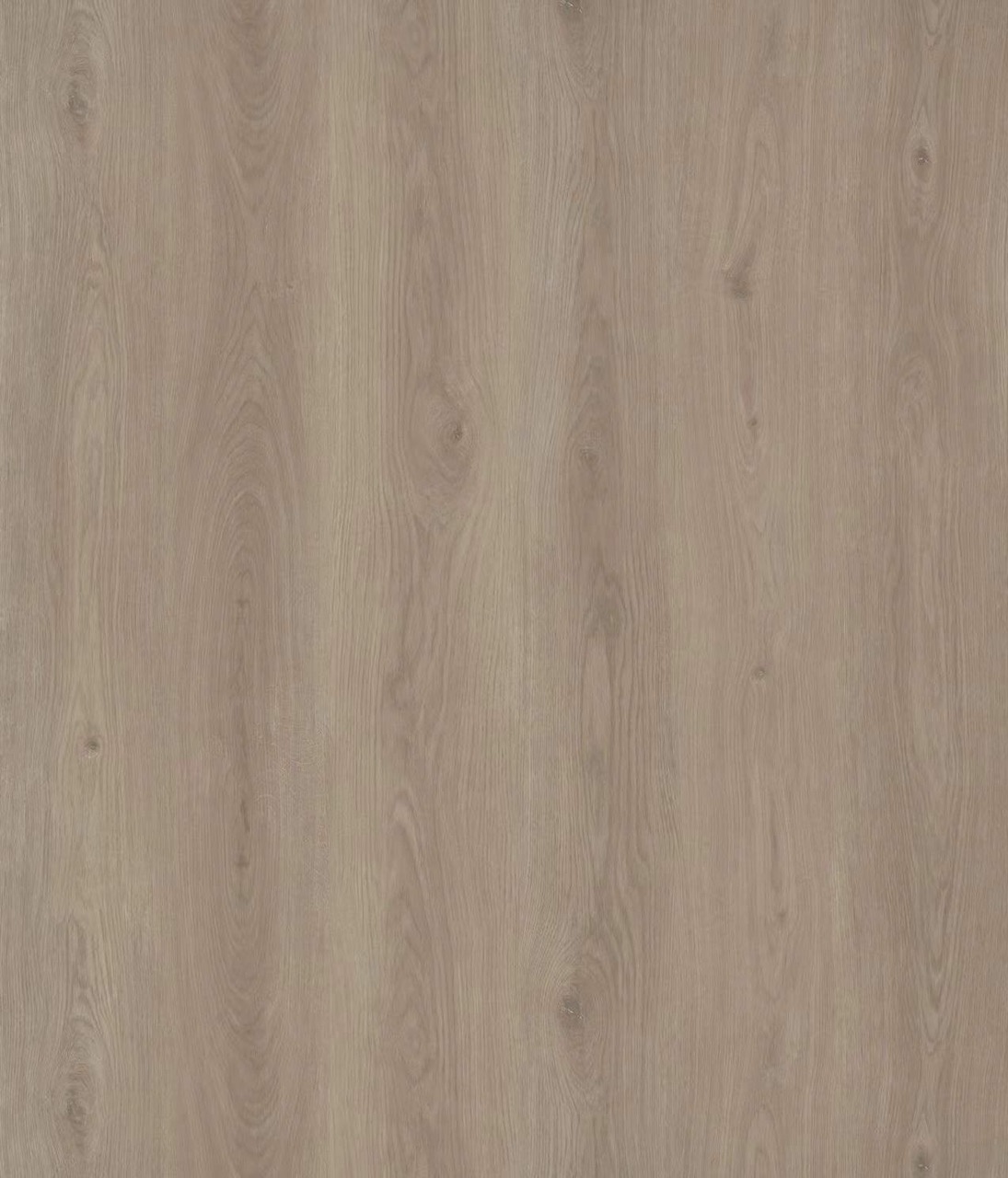 Bellegrande Fall Oak