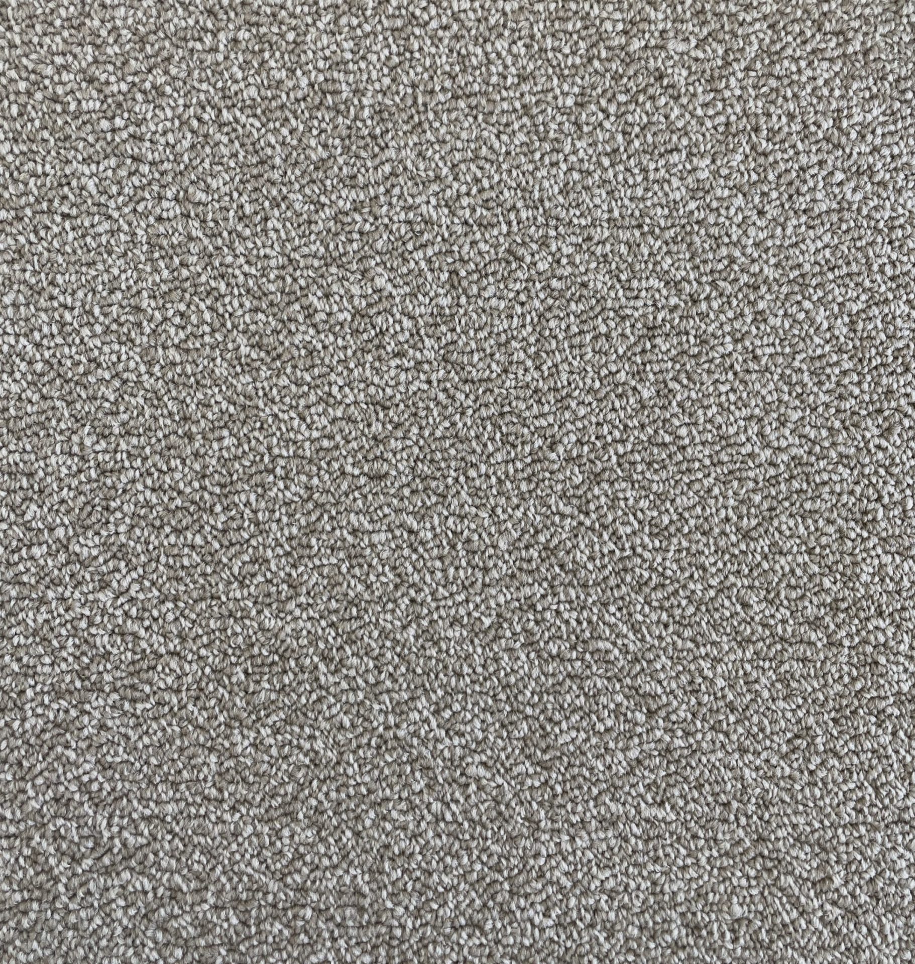 Birdwood Col. Chroma