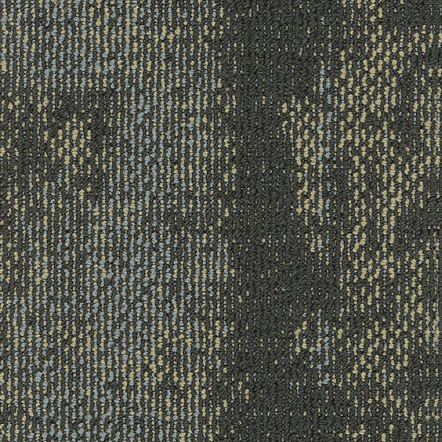 Bold 06218 Forest 21801