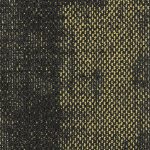 Bold 06218 Maize 21805