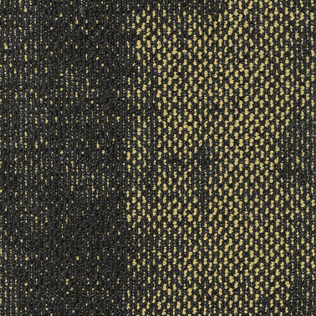 Bold 06218 Maize 21805