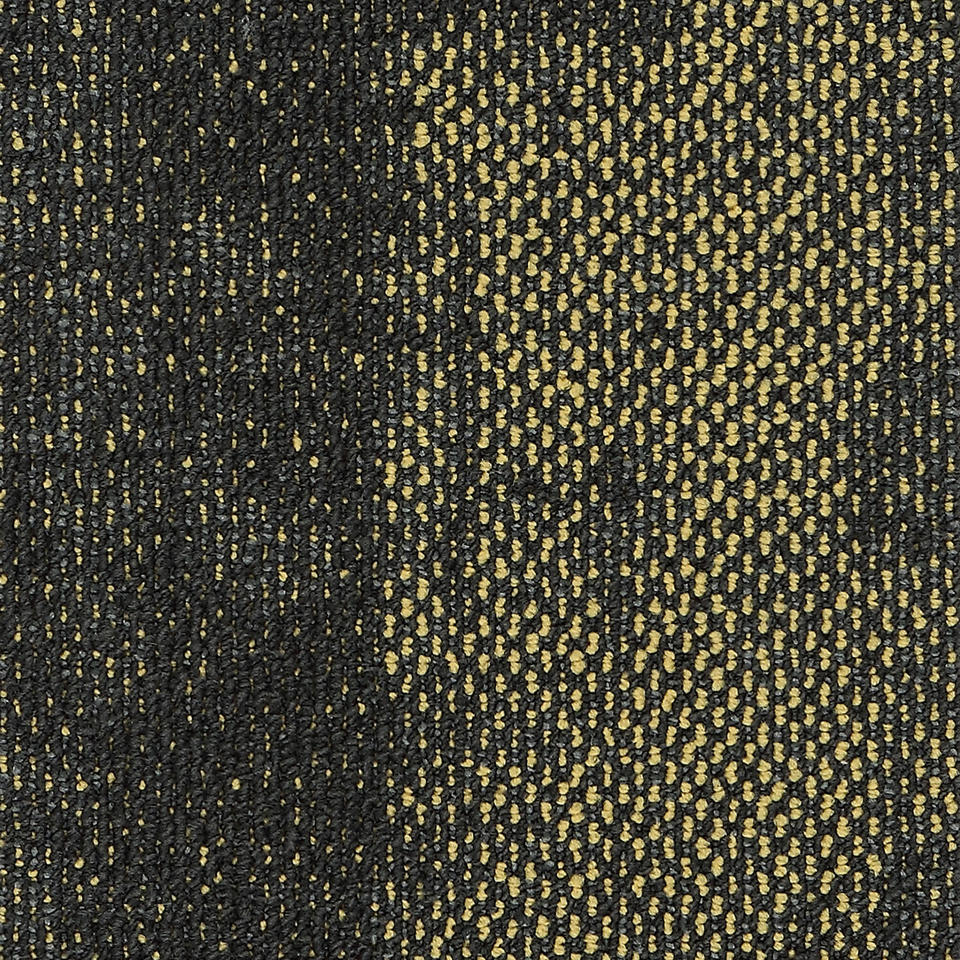 Bold 06218 Maize 21805