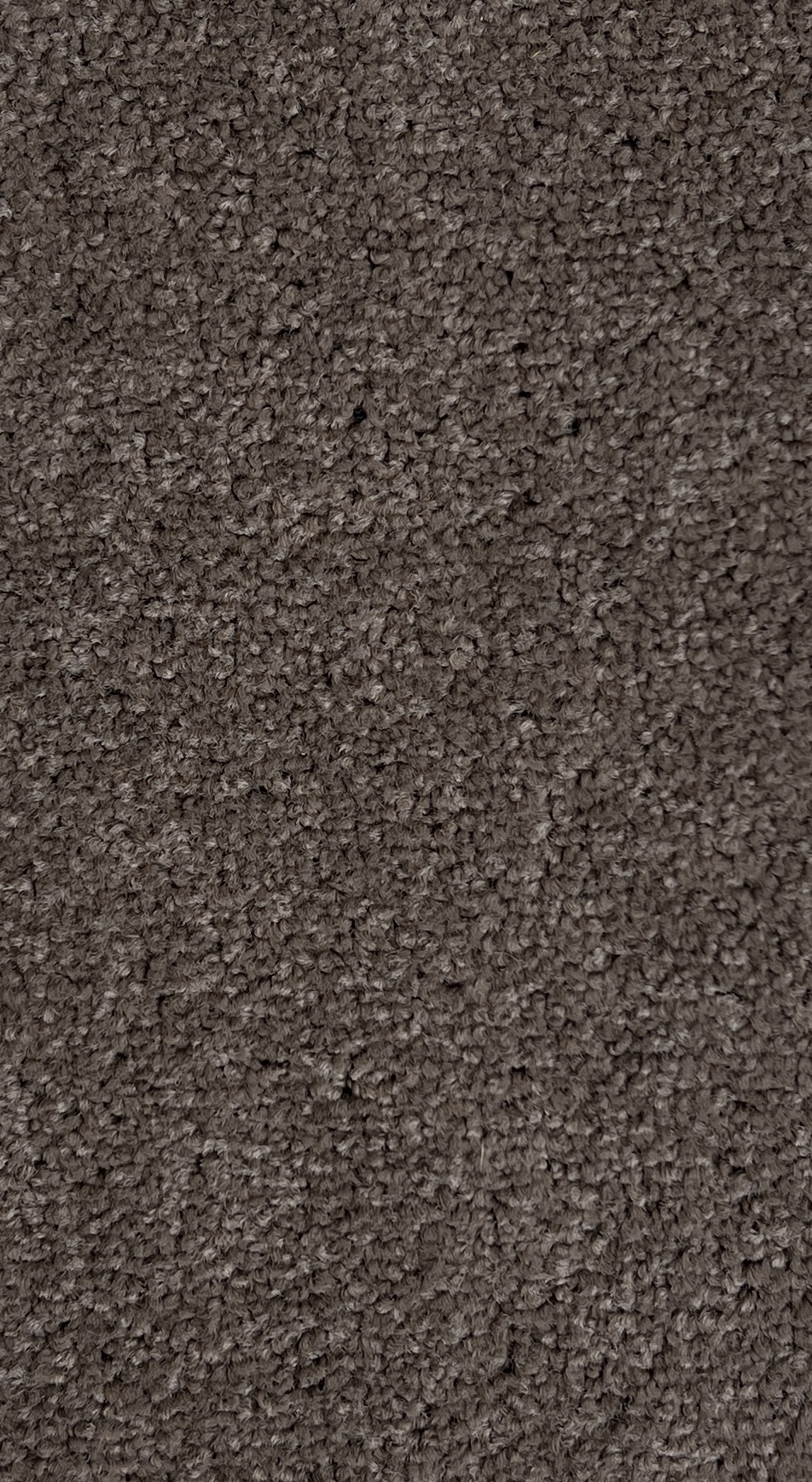 Bonneville Col. Amazonstone