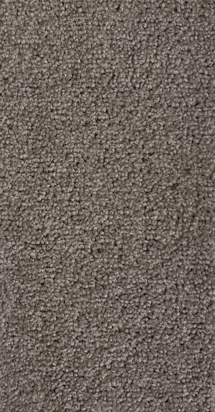 Bonneville Col. Torte