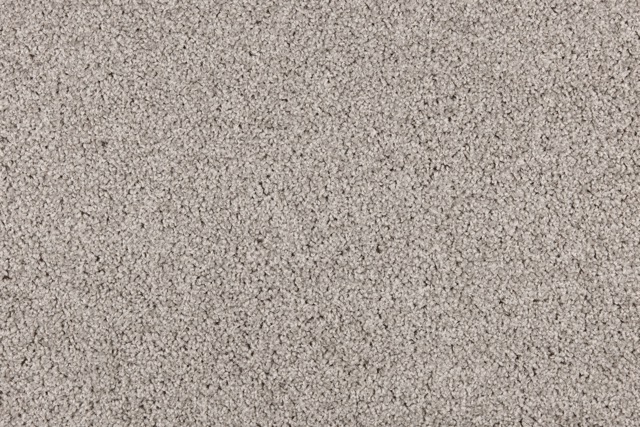 Light grey plush carpet available now from Beare Flooring.