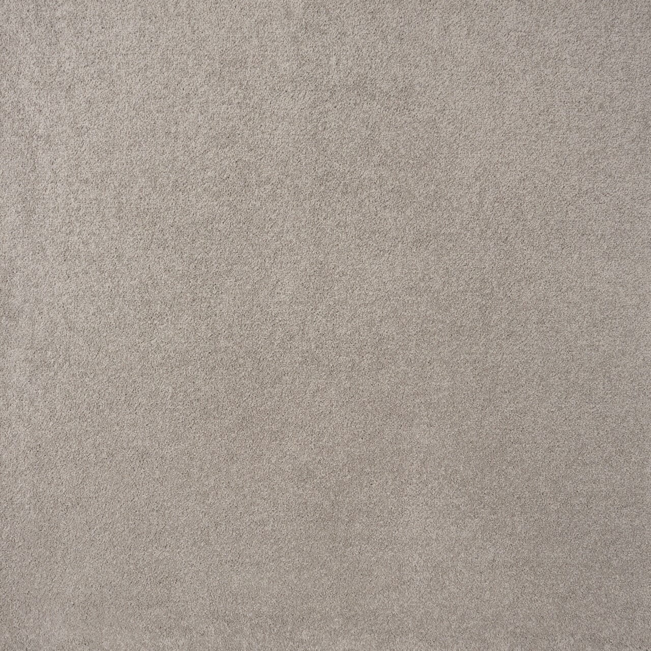 Callista Morning Fog