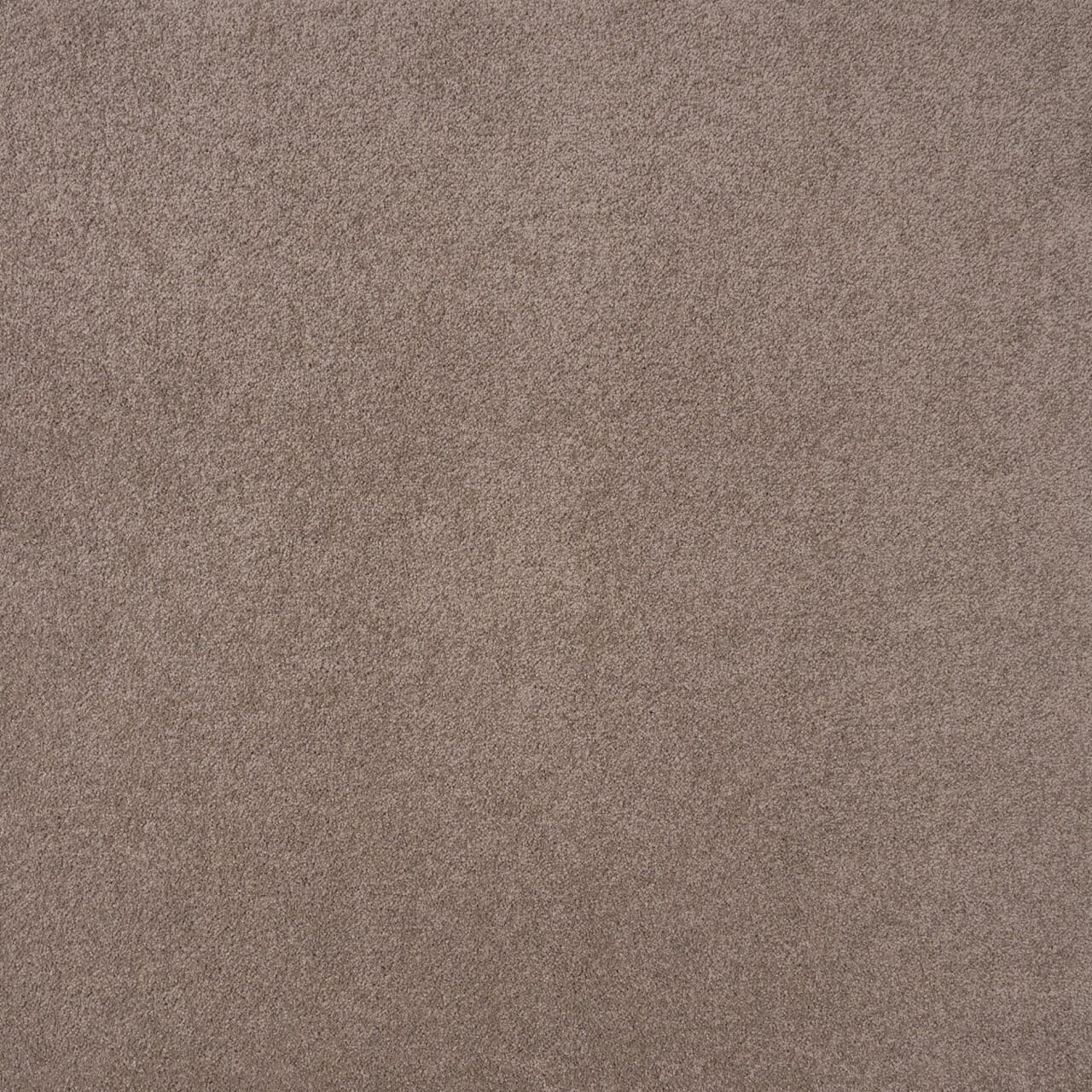 Callista Twilight Haze