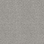 Central Valley Alpine Grey