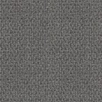 Central Valley Blue Fox