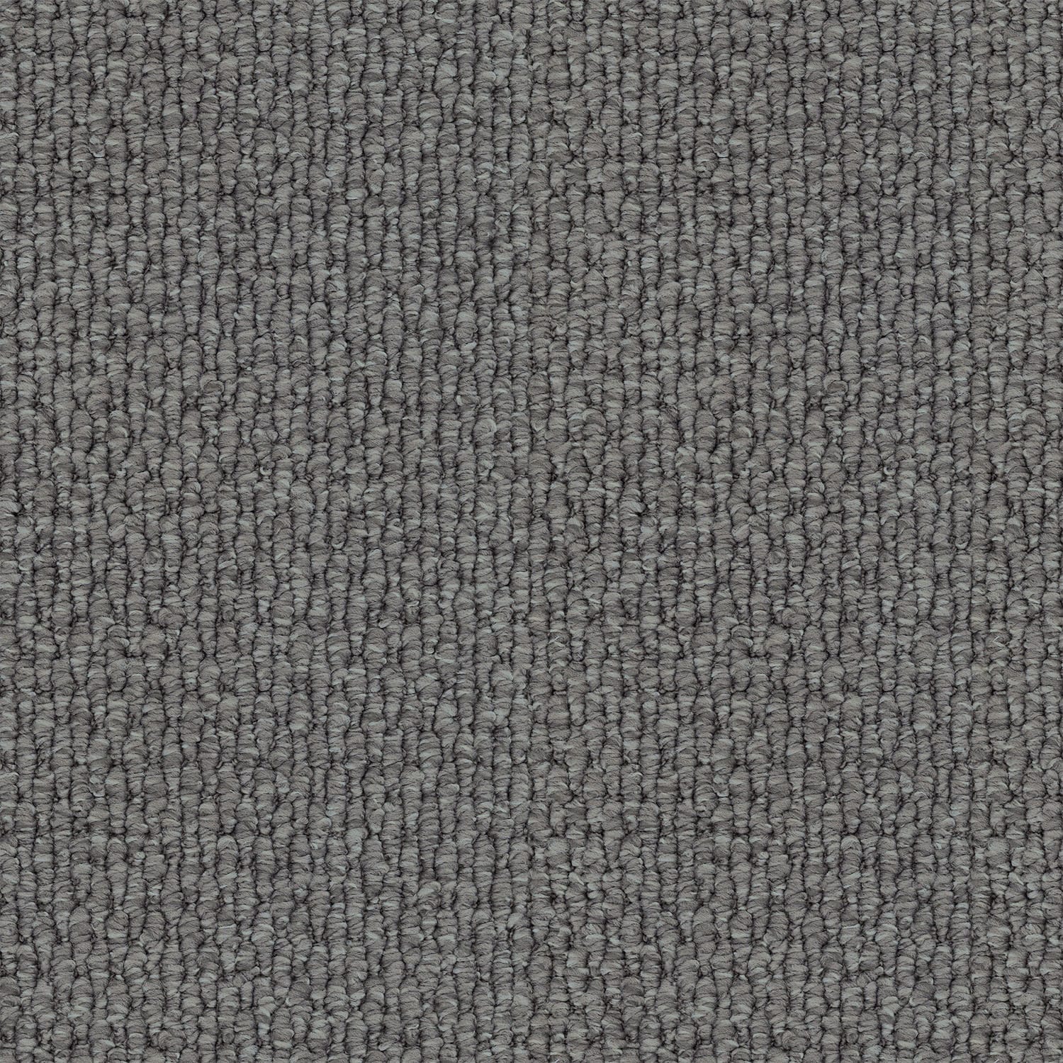 Central Valley Blue Fox