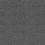 Central Valley Coal Dust