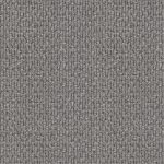 Central Valley Light Cloud