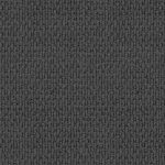 Central Valley Magma