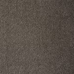 Coastal Maine Bonsai Tree Large