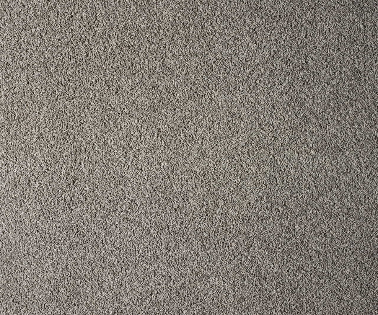 Coastal Maine Botanical Large