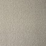 Coastal Maine Pinefield Large