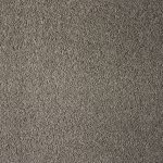 Coastal Maine Portland Large