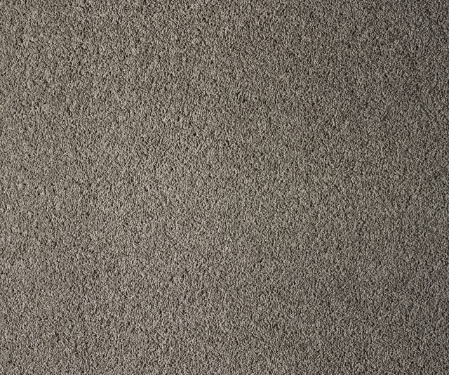 Coastal Maine Portland Large