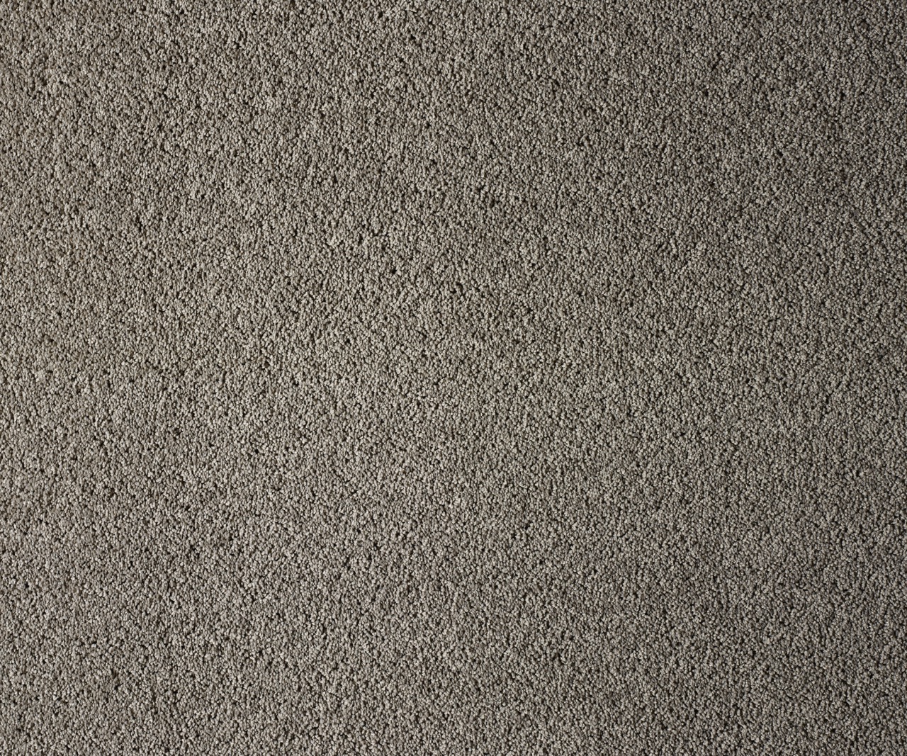 Coastal Maine Portland Large