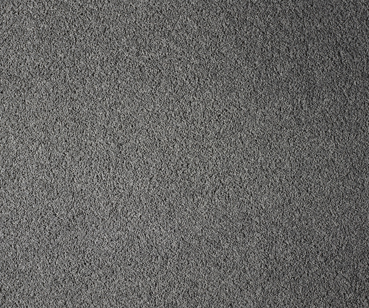 Charcoal plush carpet available now from Beare Flooring.
