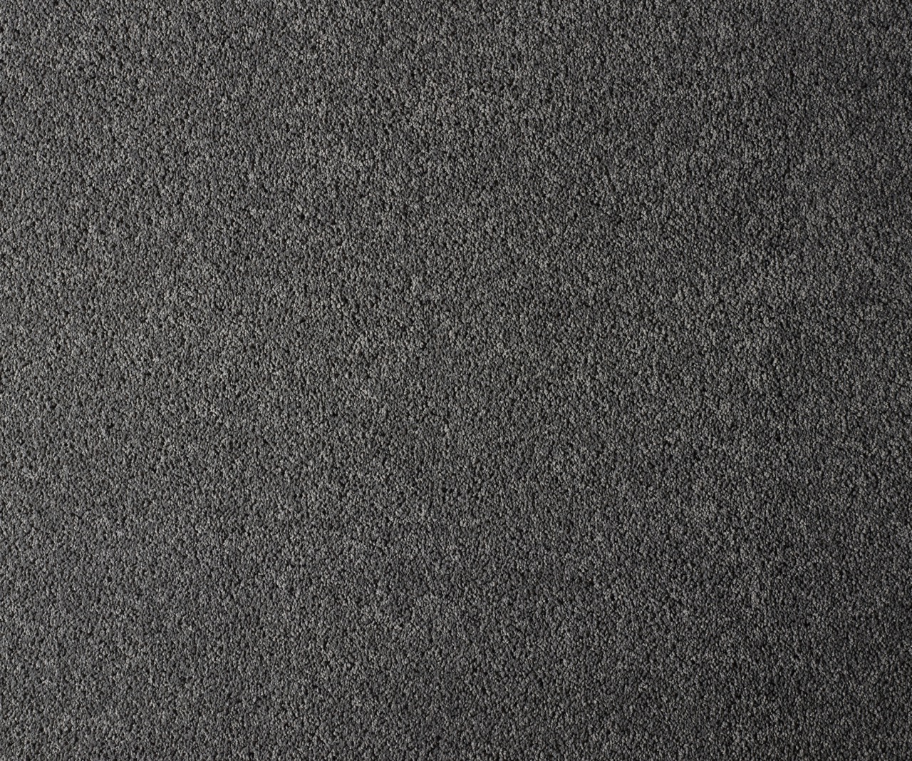 Coastal Maine Wells Large