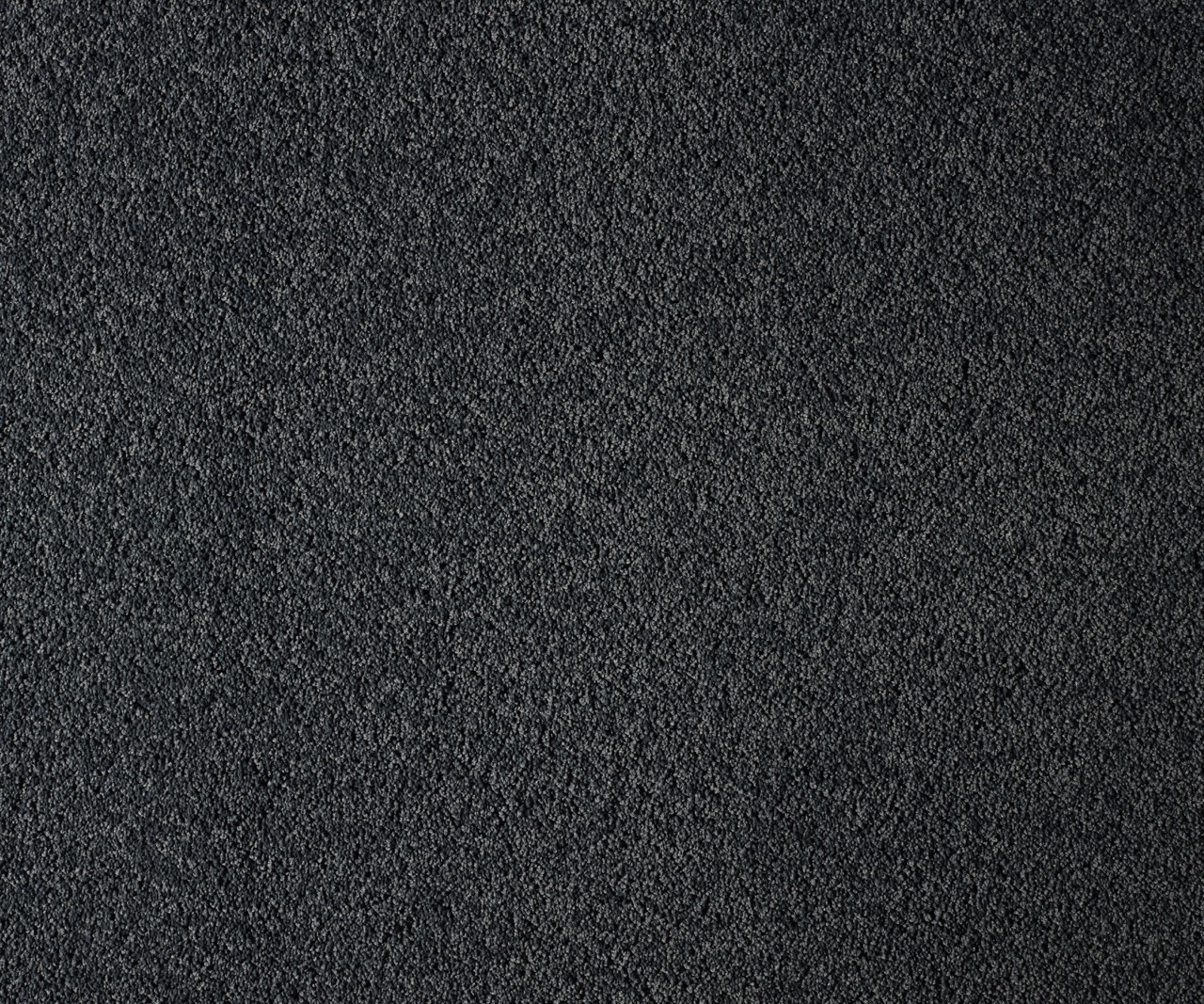 Coastal Maine York Cliffs Large