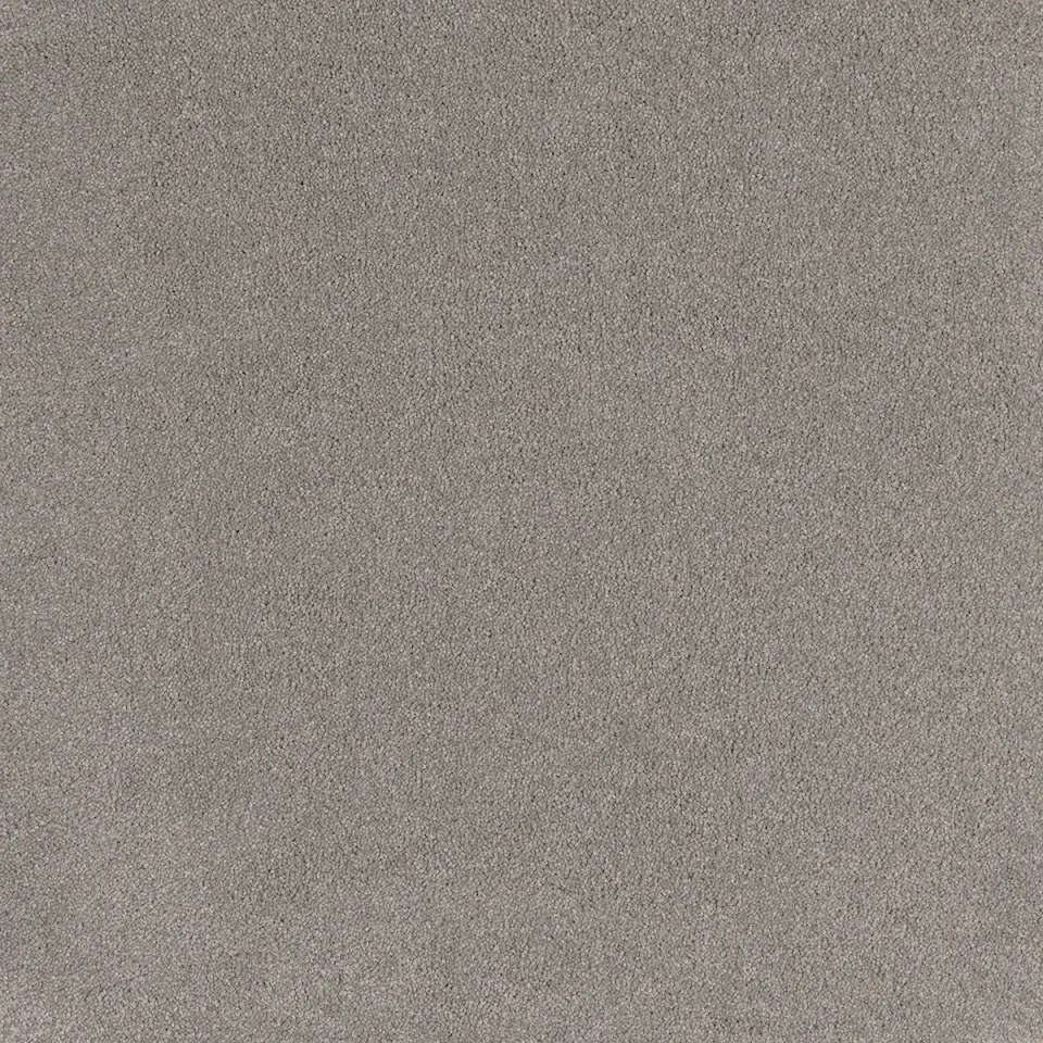 Coco Bliss Carpet