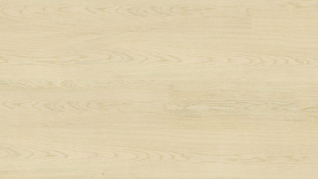 Corsica Oak Coastal Oak Large