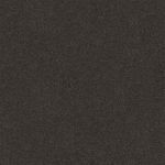 Darling Cove Black Trend Medium