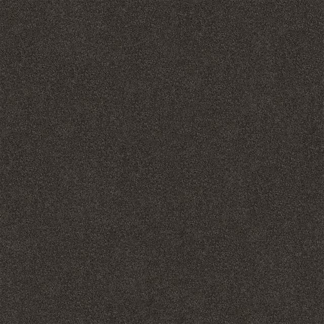 Darling Cove Black Trend Medium